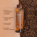 LISTING-SHAMPOO-CAFE-4.webp
