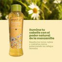 LISTING-SHAMPOO-MANZANILLA-2.jpg.webp