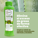 SHAMPOO-ALEO-VERA-LISTING_2.jpg.webp