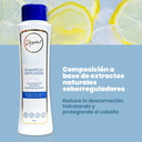 SHAMPOO-DE-ANTICASPA-LISTING_2.webp
